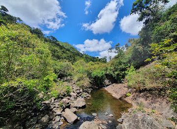 mauritius/black-river-gorges-national-park/attraction/black-river-trail