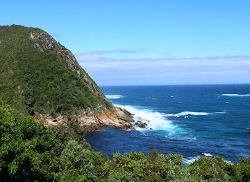 south-africa/amatola-mountains/attraction/tsitsikamma-national-park