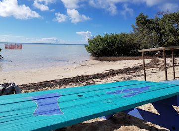 the-bahamas/bimini/attraction/bimini-biological-field-station