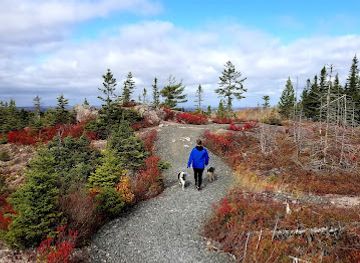 canada/cape-breton-island/attraction/coxheath-hills-trailhead