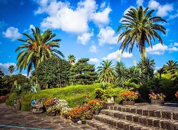south-korea/jeju-city/attraction/ilchul-land
