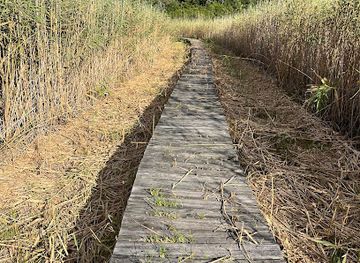 south-africa/western-cape/attraction/sanparks-rondevlei-bird-hide