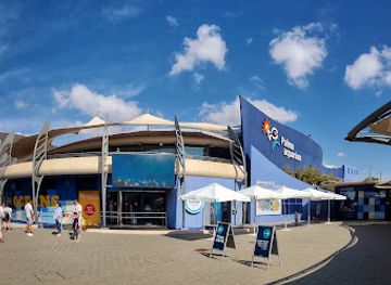 spain/palma-de-mallorca/santa-catalina/attraction/palma-aquarium