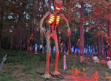 texas/piney-woods/attraction/piney-park