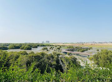 united-arab-emirates/ajman/attraction/al-zorah-natural-reserve-ajman