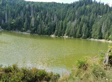 france/vosges-mountains/attraction/lac-vert