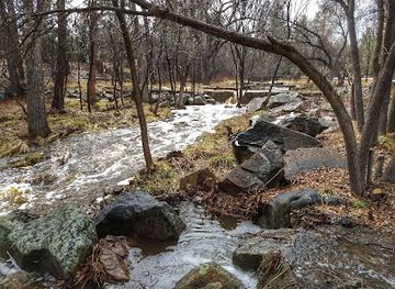 arizona/prescott-national-forest/attraction/stricklin-park