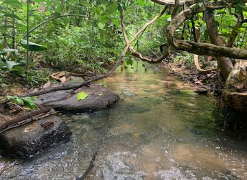 thailand/phuket-province/attraction/khao-phra-thaeo-non-hunting-area