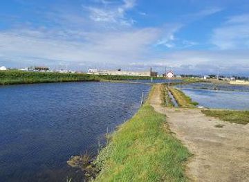 portugal/aveiro/attraction/aveiro-salt-flats