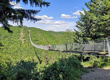 germany/moselle/attraction/geierlay-suspension-bridge