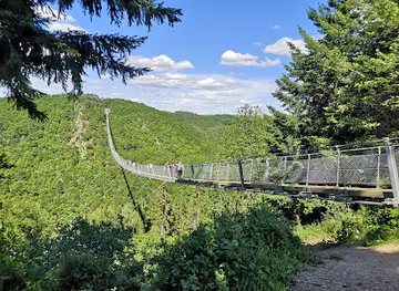 Geierlay Suspension Bridge