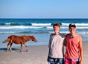virginia/tidewater/attraction/6-mile-beach