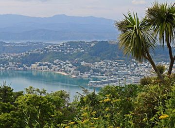 new-zealand/wellington/attraction/te-ahumairangi-hill-lookout