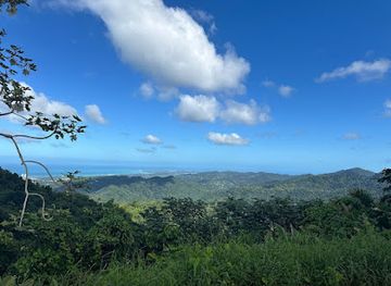 puerto-rico/el-yunque-national-forest/attraction/jibarito-pr-adventures-can-am-utv-tours