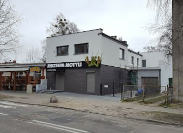 poland/słowiński-national-park/attraction/muzeum-motyli-w-lebie-czynne-caly-rok