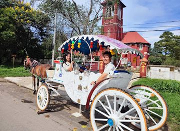 myanmar-burma/pyin-oo-lwin/attraction/pol-horse-cart-station-horse-cart-riding