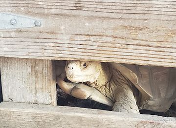 louisiana/river-parishes/attraction/morgan-city-petting-zoo