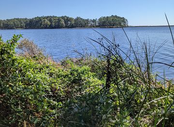 maryland/blackwater-national-wildlife-refuge/attraction/marsh-edge-trail