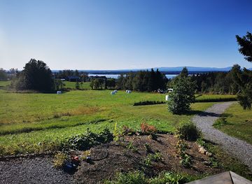 sweden/halsingland/attraction/moose-garden