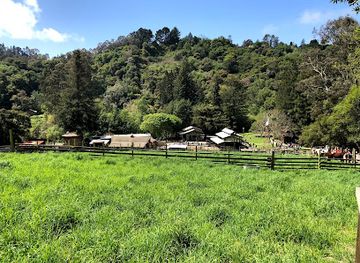 california/east-bay/attraction/tilden-nature-area