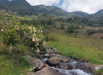 panama/chiriqui-highlands/attraction/el-mirador-del-pianista