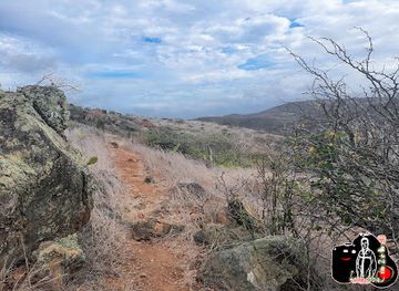 aruba/arikok-national-park/attraction/pajarito-trail