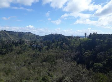 australia/limestone-coast/attraction/hastings-cunningham-reserve