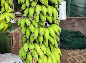 oman/salalah/attraction/fresh-fruite-dahariz