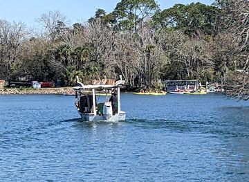 florida/crystal-river/attraction/manatee-swim-center