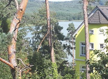 czechia/machovo-jezero/attraction/ringoland