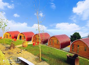 pakistan/kaghan-valley/attraction/sharan-forest-resort