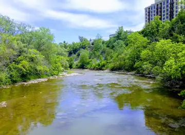 Lambton Woods