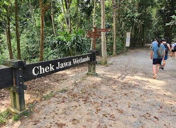 Chek Jawa Wetlands