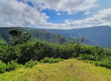 mauritius/plaines-wilhems/attraction/colophane-trail