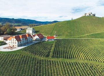 austria/gurktal/attraction/jacques-lemans-weingut-taggenbrunn