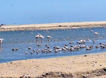 namibia/spitzkoppe/attraction/salzpfanne-mit-seevogelkolonie