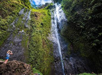 nicaragua/ometepe-island/attraction/reserva-de-biosfera-ometepe