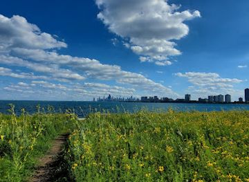 illinois/prairie-state/attraction/montrose-point-bird-sanctuary-the-magic-hedge