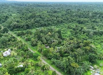 AluWe Estate