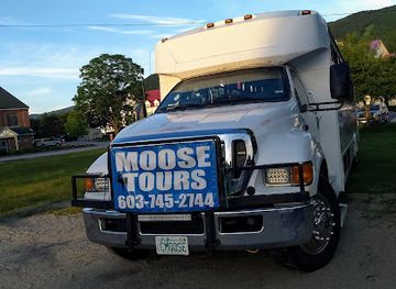 new-hampshire/mount-washington-valley/attraction/pemi-valley-moose-tours