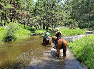 south-dakota/custer/attraction/blue-bell-stables