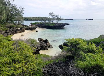 new-caledonia/ouvea-island/attraction/pleiades-du-nord