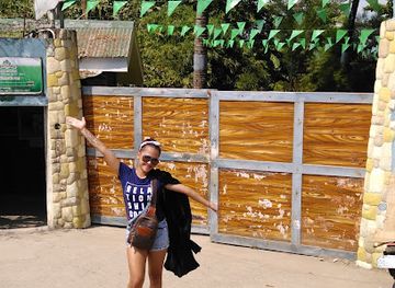 philippines/cebu/attraction/crocolandia