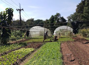 thailand/nan/attraction/baan-suan-luk-phak