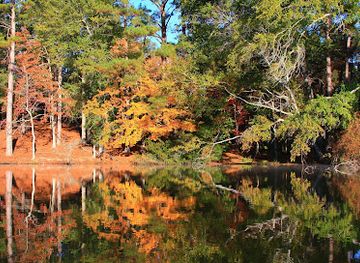 mississippi/desoto-national-forest/attraction/clarkco-state-park