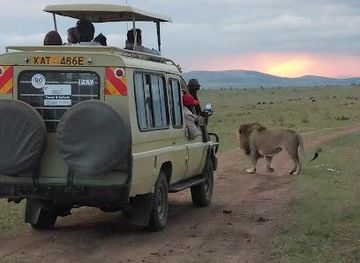kenya/nairobi/attraction/perfect-wilderness-tours-and-safaris