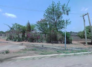 nigeria/yola/attraction/malle-s-garden