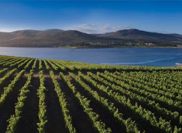south-africa/overberg/attraction/benguela-cove-lagoon-wine-estate