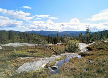 norway/norefjell/attraction/trillemarka-rollagsfjell-nature-reserve