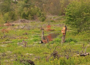 massachusetts/plymouth-county/attraction/mass-audubon-tidmarsh-wildlife-sanctuary